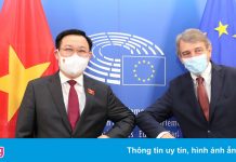 Chủ tịch Quốc hội vận động Nghị viện châu Âu hỗ trợ vaccine