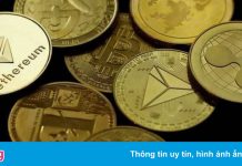 Tiền mã hóa phát triển quá nhanh, người dùng dễ tổn thương