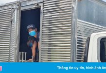 CSGT TP.HCM phát hiện 6 người trong thùng xe tải