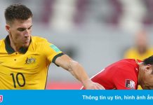 Chiều cao vượt trội của dàn cầu thủ Australia ở trận gặp Việt Nam