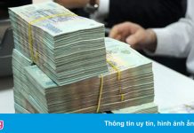 Công an TP.HCM truy tìm Giám đốc Công ty Tam Đa