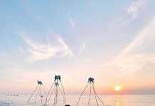 Hàng loạt địa điểm ở Việt Nam được đón du khách quốc tế trở lại: Từ Phú Quốc, Hội An cho đến Hạ Long và rất nhiều nơi khác