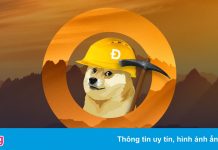 Chủ sàn đa cấp Dogecoin Thổ Nhĩ Kỳ bỏ trốn cùng 119 triệu USD