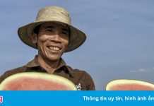 Bộ Nông nghiệp: Nông dân đang lãng phí hạt xoài, vỏ dưa hấu, rơm rạ