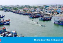 Ngư dân Quảng Ngãi ra khơi trước 15/9 được cập cảng bán thủy sản