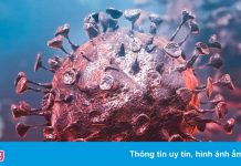 Tương lai của đại dịch