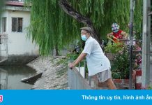 Người Hải Phòng sống bất an bên hồ Tiên Nga