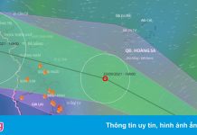 Mưa lớn từ Hà Tĩnh tới Bình Định do áp thấp nhiệt đới