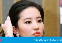 Nghệ sĩ ngồi yên giữa lúc showbiz Trung Quốc chao đảo