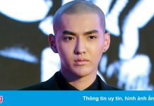 206 triệu USD của Ngô Diệc Phàm trước khi phải bán tháo