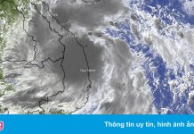 Phó thủ tướng: Không tập trung hết dân vào nhà văn hóa khi tránh bão