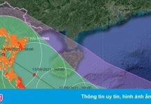 Quảng Nam kêu gọi hơn 1.100 ngư dân rời vùng nguy hiểm của bão số 5