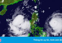 Bão Chanthu tăng cấp nhanh, tương tác với bão số 5 trên Biển Đông