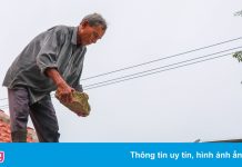 Quảng Nam dừng hội họp, Thừa Thiên – Huế sơ tán người già trước bão