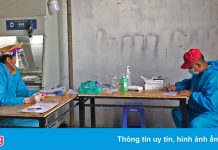 Hai người dương tính với SARS-CoV-2 sử dụng giấy xét nghiệm chỉnh sửa