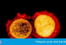 Thế giới đã biết những gì về biến chủng Mu?