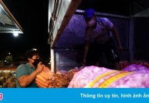 Chợ đầu mối Hóc Môn mở điểm trung chuyển hàng hóa từ ngày 20/9