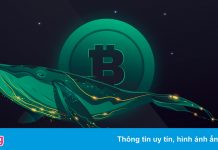 Một ‘cá voi Bitcoin’ vừa thức giấc sau hơn 7 năm không giao dịch