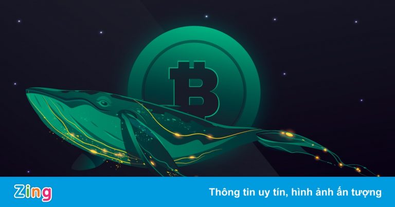 Một ‘cá voi Bitcoin’ vừa thức giấc sau hơn 7 năm không giao dịch