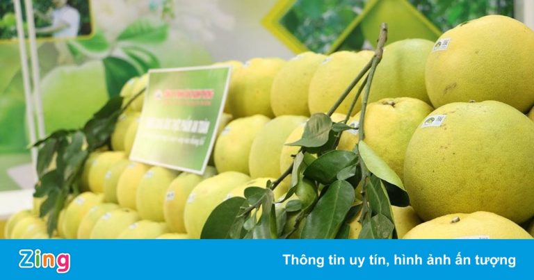 Bưởi Phúc Trạch là đặc sản tỉnh nào?