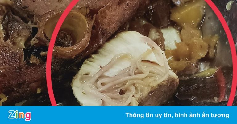 Xác minh thông tin thức ăn của công nhân ở Hải Phòng có sán Xác minh thông tin thức ăn của công nhân ở Hải Phòng có sán