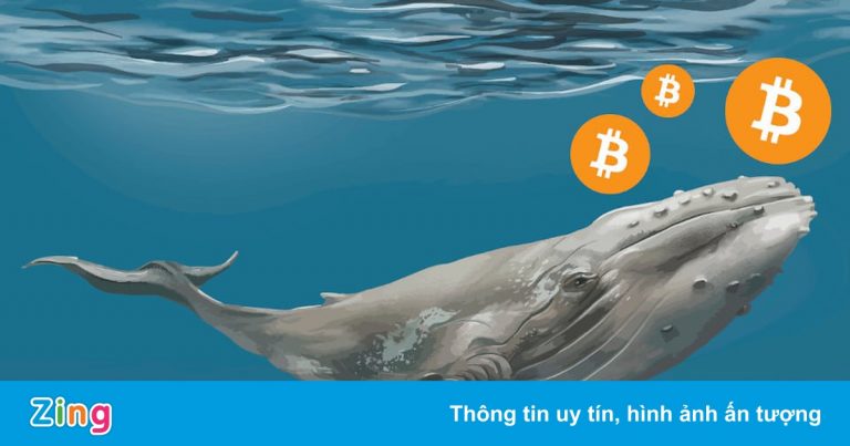 Một ‘cá voi’ bắt đáy, mua vào 490 Bitcoin