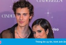 Camila Cabello, Shawn Mendes trên thảm đỏ