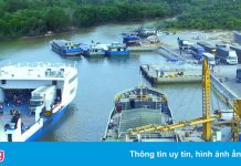 Nghi nguồn lây ổ dịch tại Phú Quốc xuất phát từ cảng Vịnh Đầm