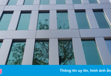 Thuduc House lãi thêm hơn 30 tỷ sau kiểm toán