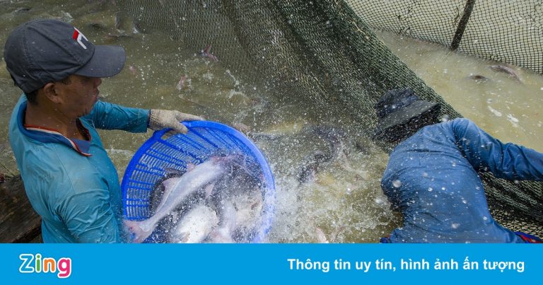 Phó thủ tướng chỉ đạo giải cứu ngành thủy sản trước nguy cơ gãy đổ