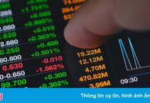 Mất hơn 700.000 USD vì tin lời chuyên gia tài chính trên YouTube