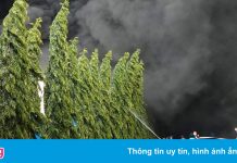 Cháy lớn tại công ty sản xuất mút xốp ở Bình Dương