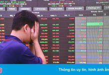 VN-Index mất 26 điểm, nhóm cổ phiếu Louis lại nằm sàn