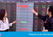 Chứng khoán được dự báo tiếp đà tăng điểm