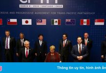 Việt Nam sẵn sàng chia sẻ kinh nghiệm với TQ về việc tham gia CPTPP