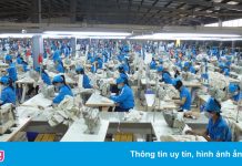 Doanh thu của TNG tiếp tục sụt giảm