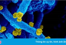 Cảnh báo mới về biến chủng Mu