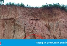 3 trẻ em bị đất vùi lấp tử vong