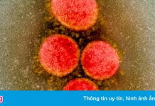 Khi nào biến chủng Delta bị dập tắt?