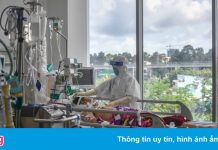 Chiến dịch gây quỹ Covid-19 của EuroCham vượt 150.000 USD sau 10 ngày