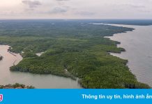 Cần Giờ thí điểm đón đoàn khách du lịch đầu tiên vào sáng 19/9