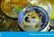 Triệu phú Dogecoin mất 500.000 USD khi thị trường lao dốc