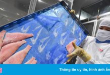 Doanh nghiệp nước ngoài mong Việt Nam sớm mở cửa