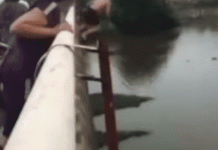 Bộ trưởng Quốc phòng gửi thư khen quân nhân cứu người đuối nước khen thuong thuong uy cuu nguoi duoi nuoc anh 1