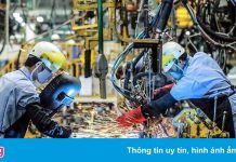 Các khó khăn của doanh nghiệp Đức khi giãn cách kéo dài