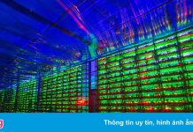 Cuộc sống mới của thợ đào Bitcoin Trung Quốc