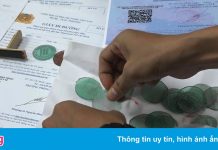 Phá đường dây bán giấy đi đường ở TP.HCM giá 1-2 triệu