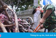 Rào chắn ở TP.HCM đồng loạt được tháo dỡ trước mốc 1/10