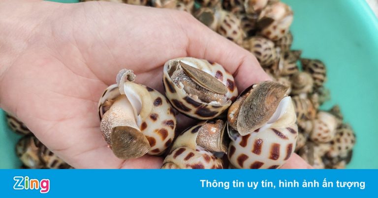 Thủy sản tồn cả nghìn tấn, nông dân mang đi bán lẻ