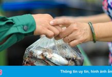 TP.HCM lên kế hoạch hỗ trợ đợt 3 cho người lao động như thế nào?